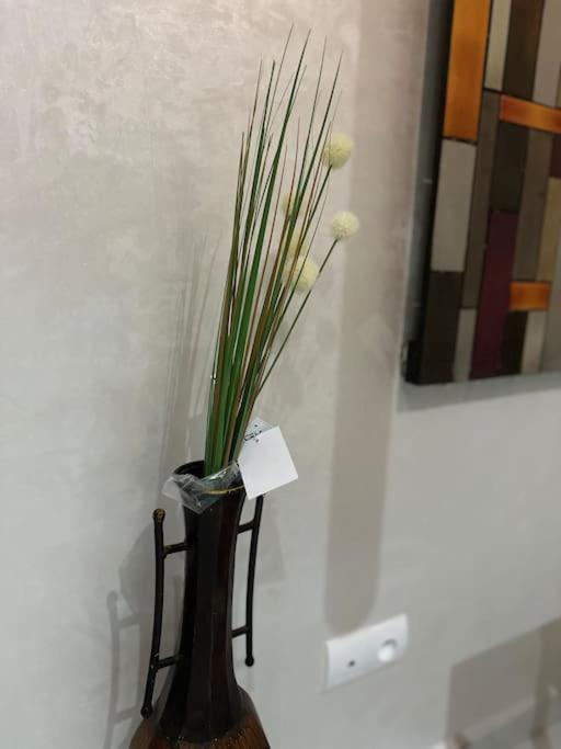 Apartment Magnificent Cozy New Luxury In Prime Casablanca Location